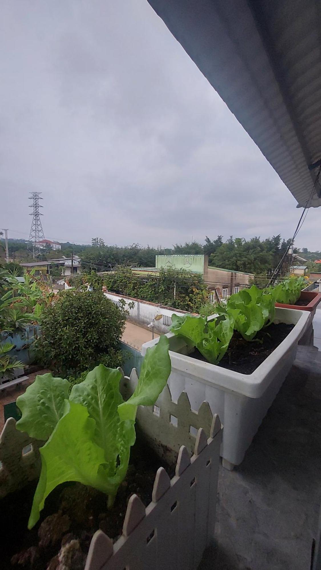 Family Homestay Bao Loc Exterior photo